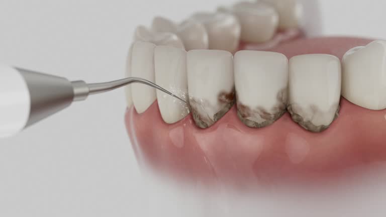 Reliable Dental contractor in Ashburn, VA by Dentist Open Now